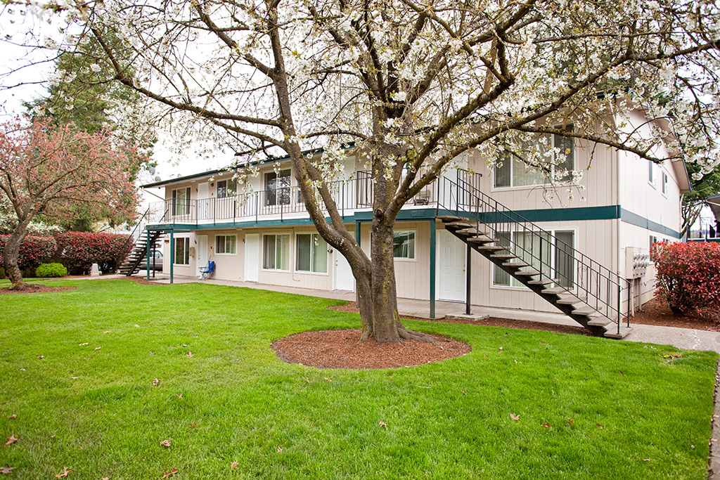 Mature Landscaping